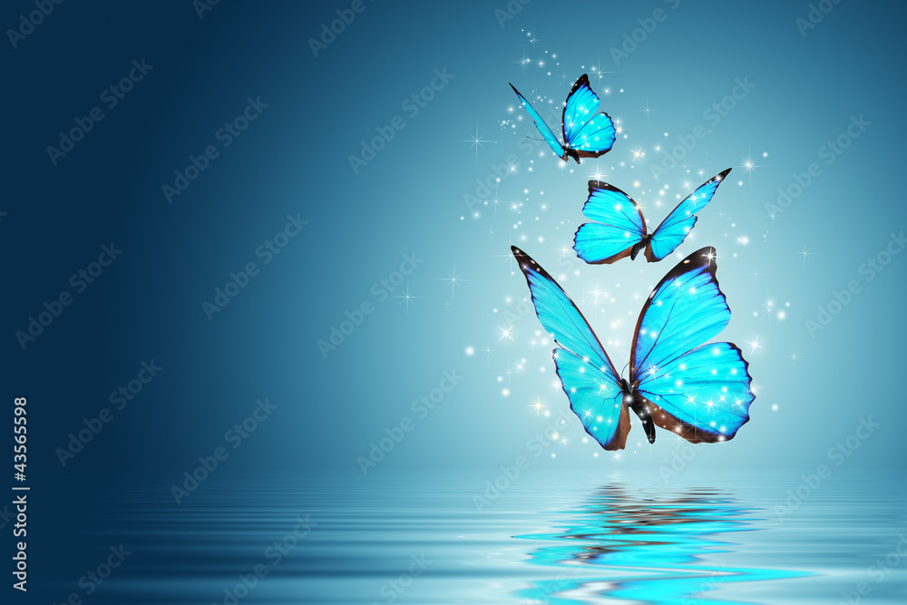 Fototapeta Niebieskie motyle nad wodą