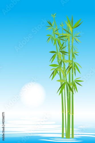 Bamboo in the sky, vector image for design