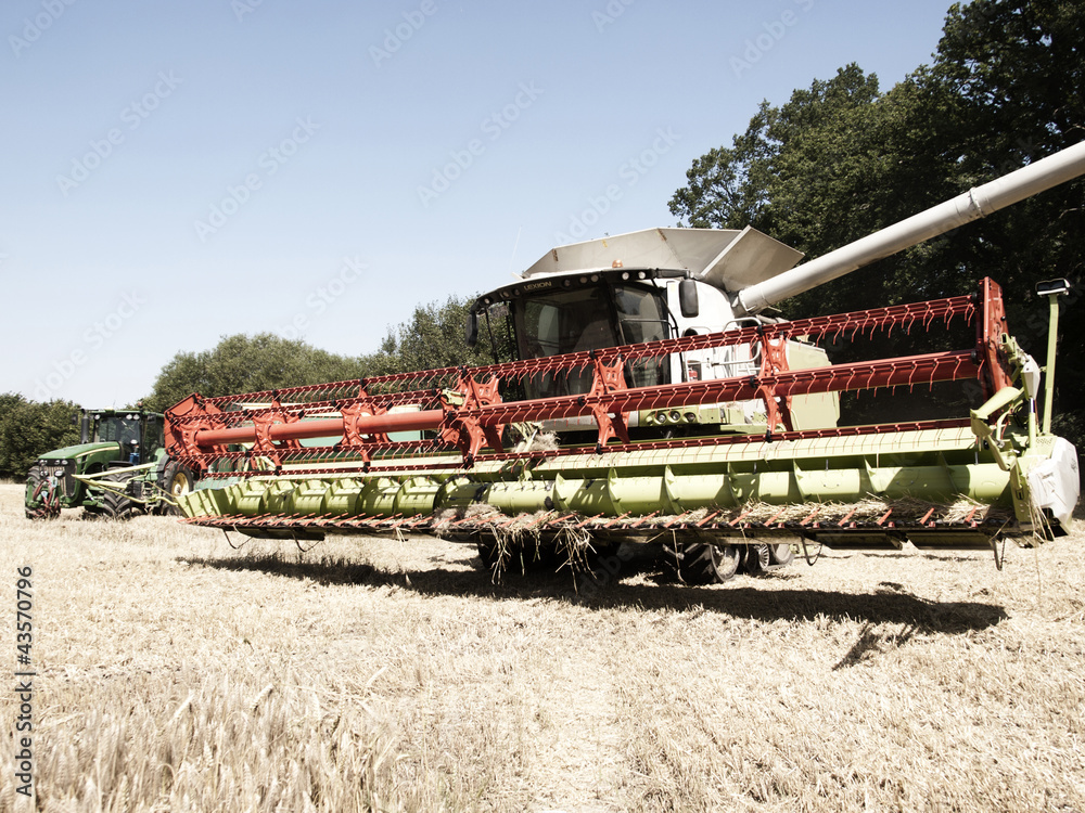 Fototapeta premium Mähdrescher