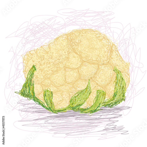 fresh cauliflower vegetable