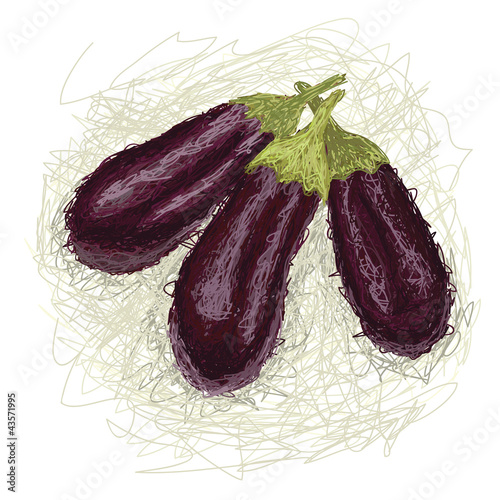 fresh eggplant vegetable