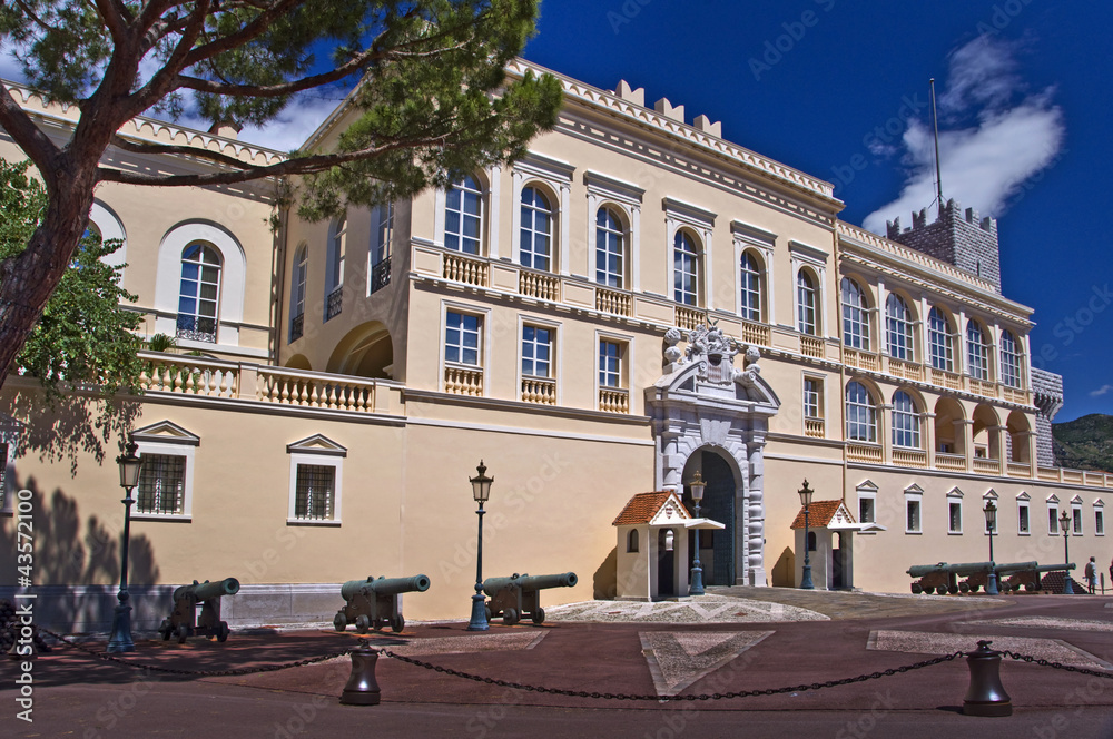 Le palais princier Grimaldi à Monaco