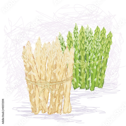 fresh green and white asparagus