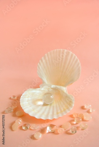 貝殻と宝石