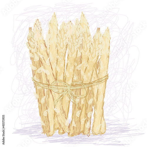 bunch of rare white asparagus vegetable