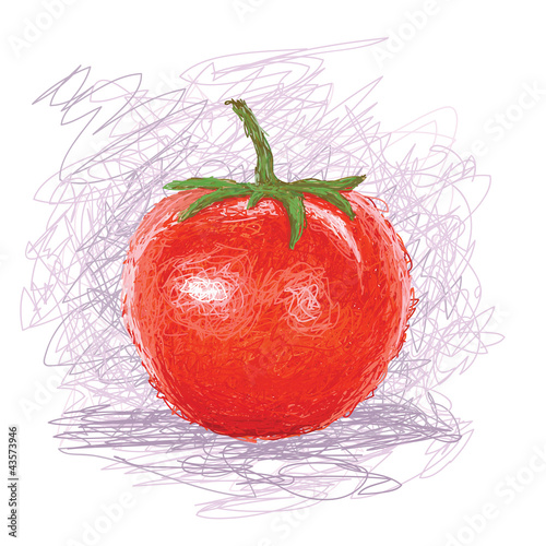 fresh tomato fruit