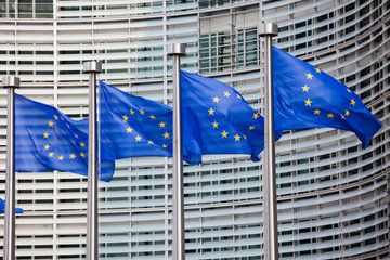 Handdoek met foto Brussel Europese vlaggen in Brussel  © jorisvo