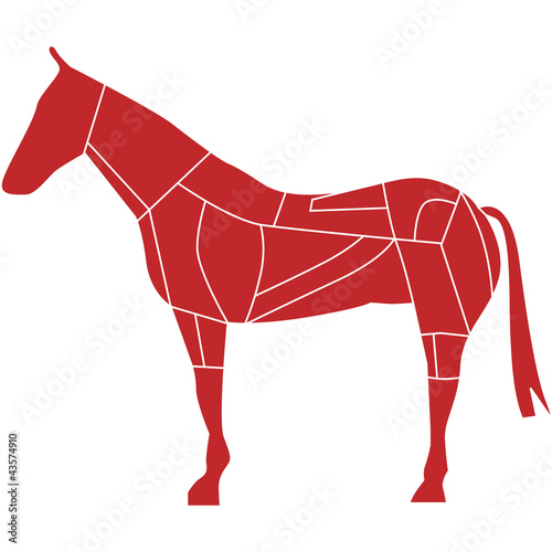 carne di cavallo