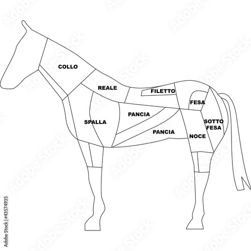 carne di cavallo