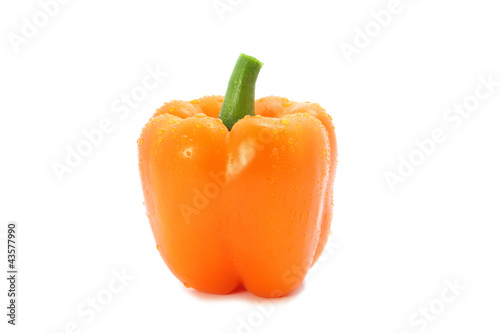 frische orange Paprika