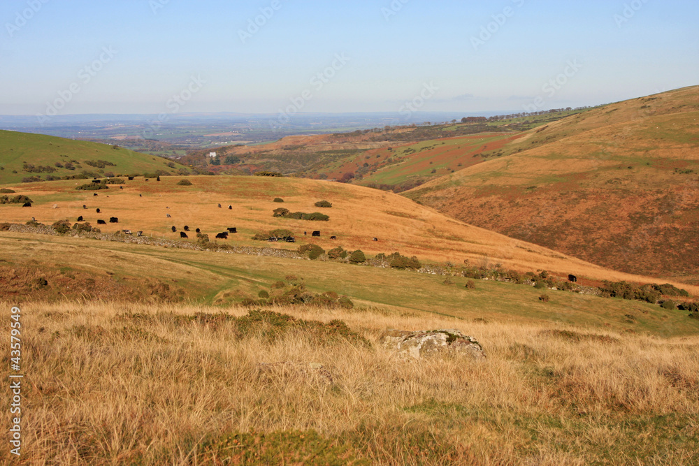 Obraz premium Dartmoor from Corn Ridge