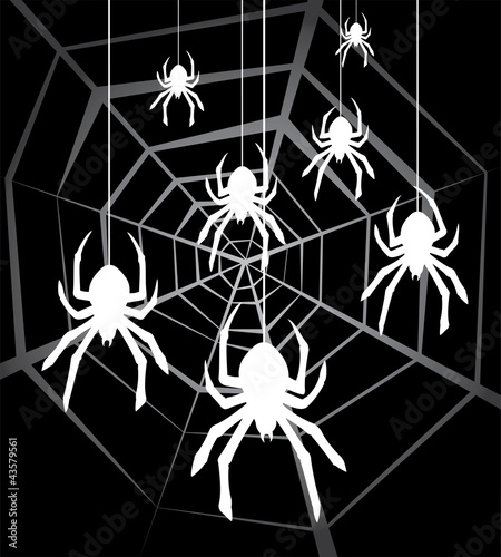 vector hanging spiders and web