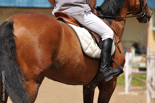 equitation
