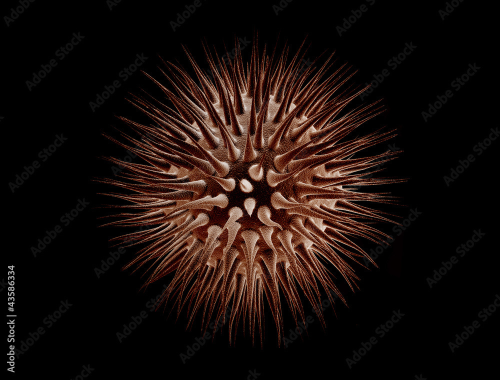 Virus cell isolated on black background Virus cell isolated on black background