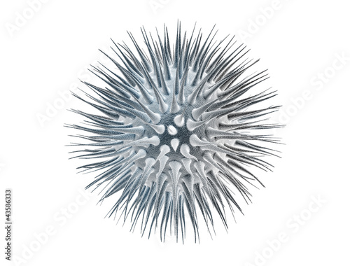Virus cell isolated on black background