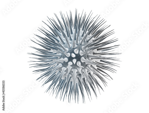Fotografie Virus cell isolated on black background