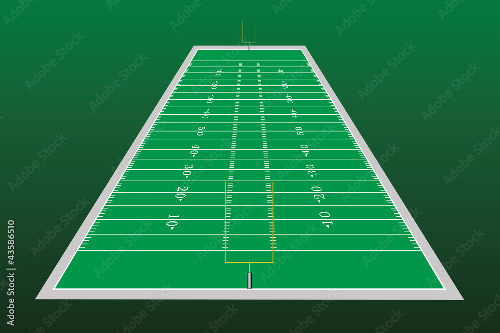 Football Field Perspective