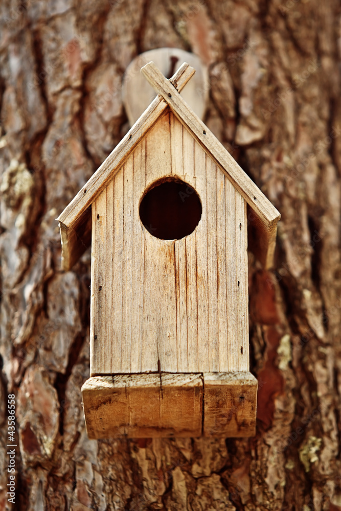 Bird Wooden House in the Forest