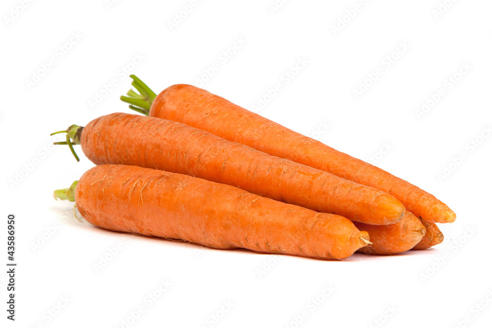 Bunch of fresh carrot isolated on white Bunch of fresh carrot isolated on white