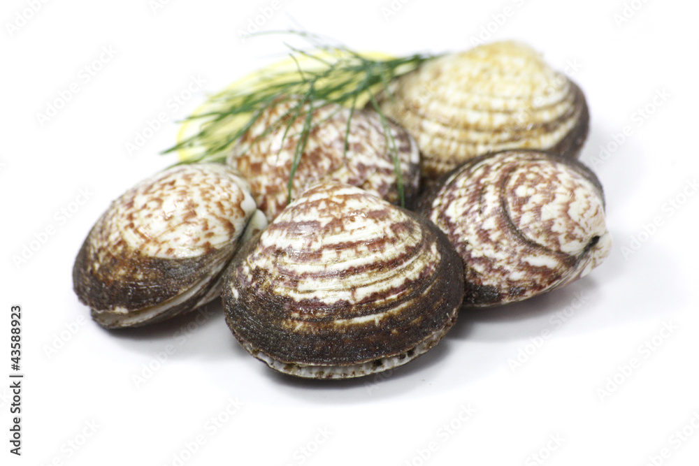 amandes amandes