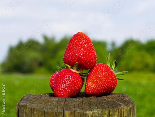Strawberries