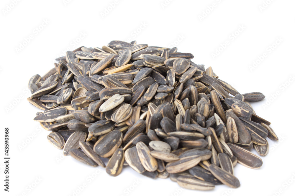 Sunflower seeds isolated on white background Sunflower seeds isolated on white background