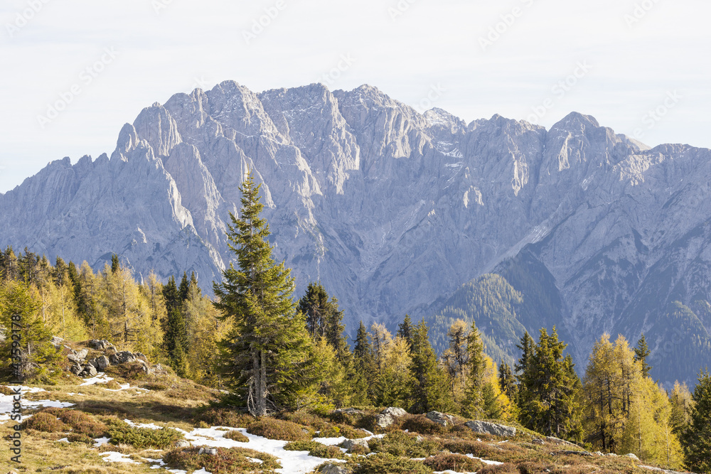 Forest in autumn landscape Forest in autumn landscape