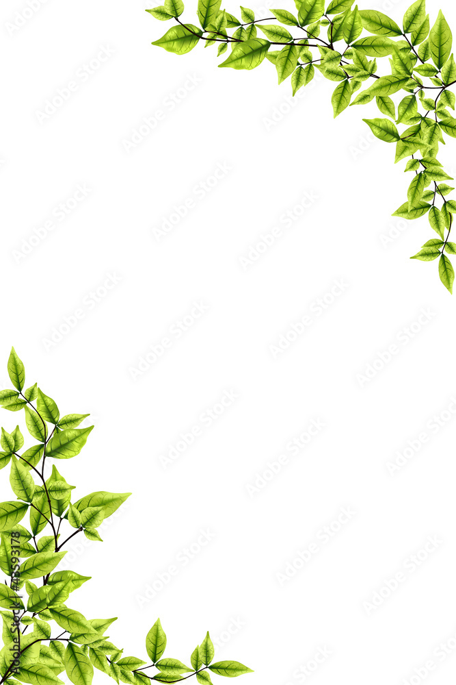 Vector green leaves background