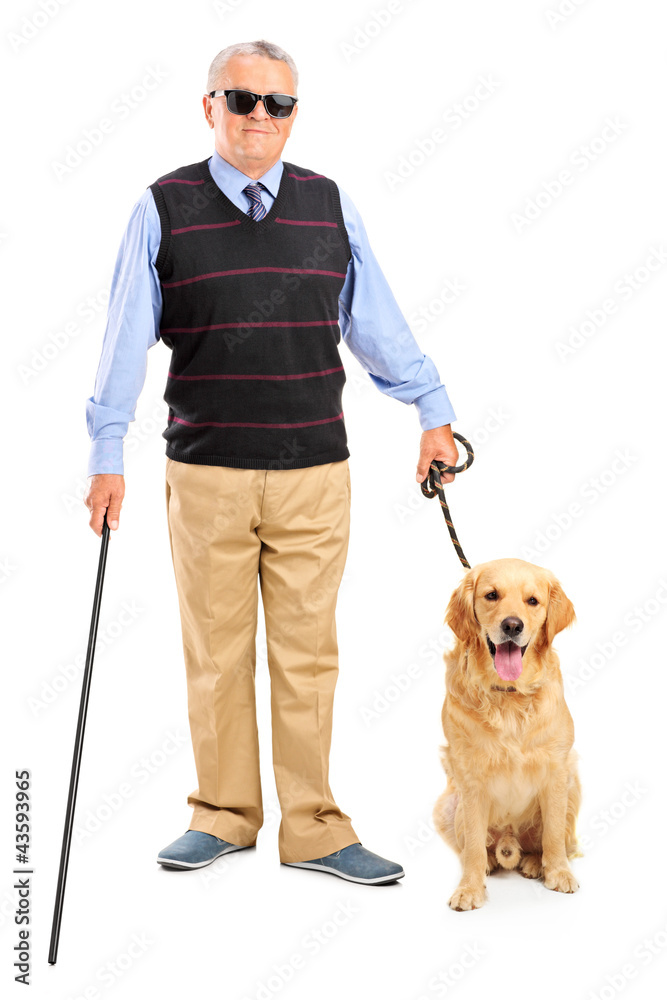 Blind person holding a walking stick and a dog Stock Photo | Adobe Stock