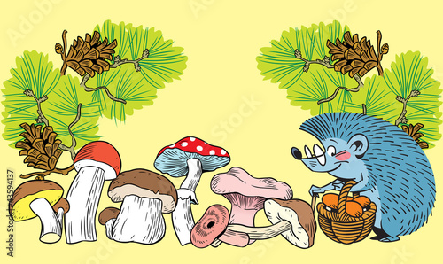 Hedgehog and mushrooms