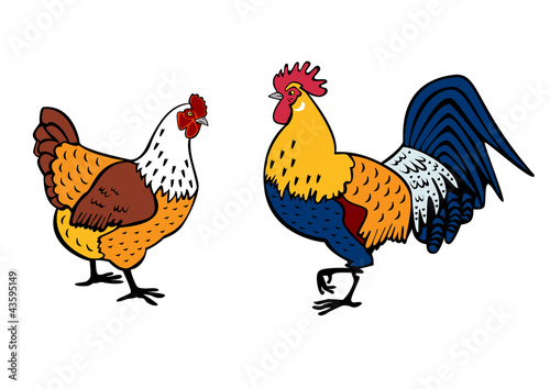 rooster and hen on white