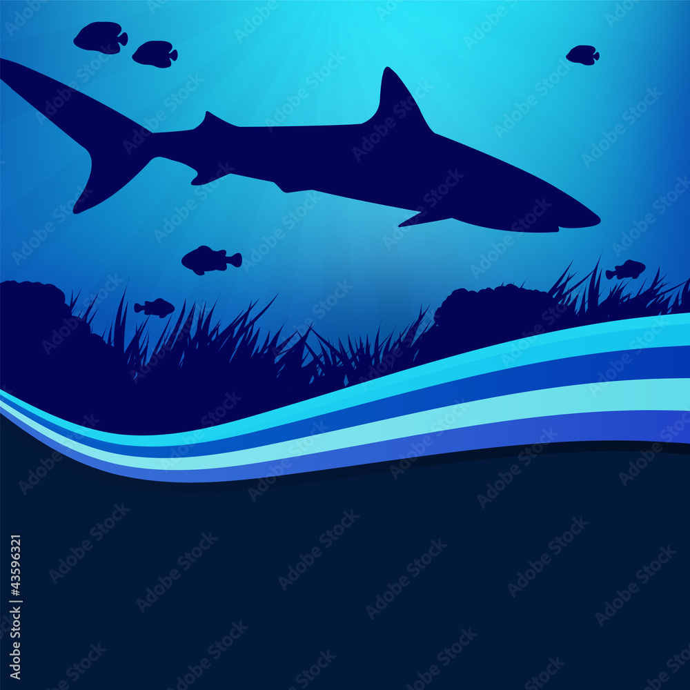 Naklejka premium shark