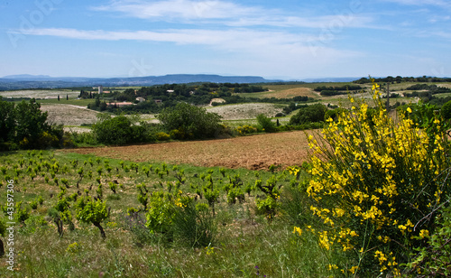 France's Châteauneuf-du-Pape