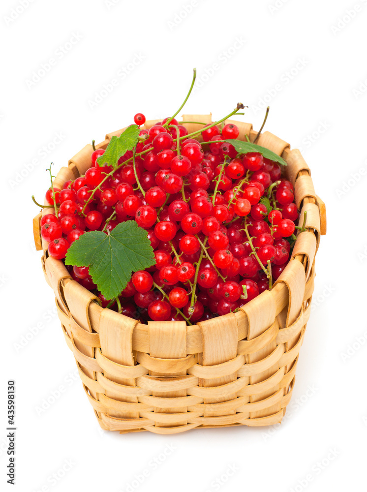 basket with red currsnt basket with red currsnt