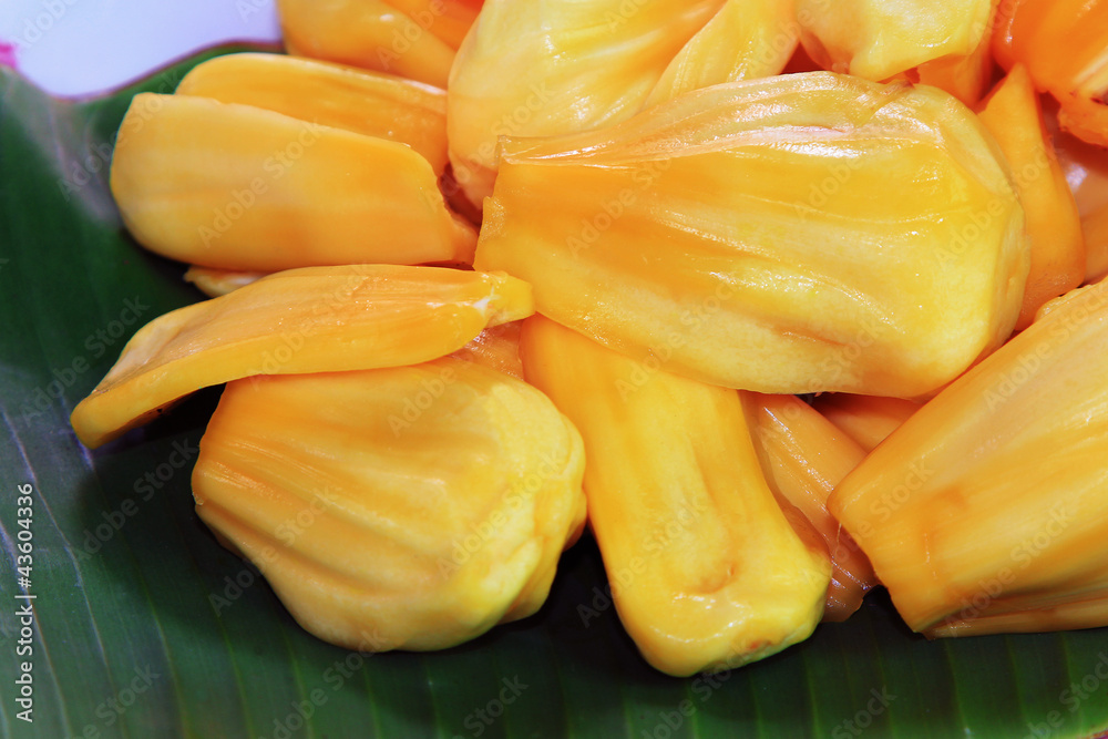 Jackfruit,Thai fruit Jackfruit,Thai fruit