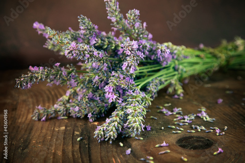 Fototapeta Naklejka Na Ścianę i Meble -  Fresh lavender