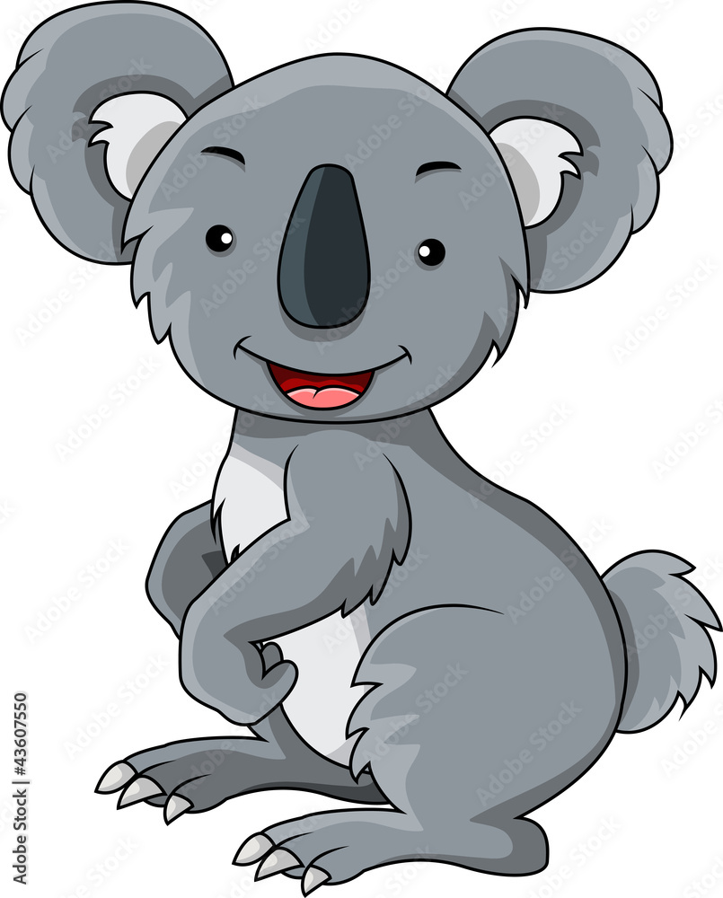 koala cartoon koala cartoon
