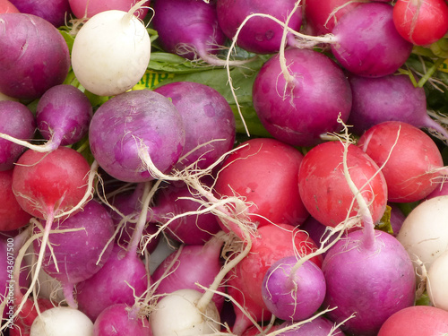 Multicolored organic radishes