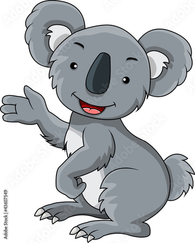 Photography koala cartoon