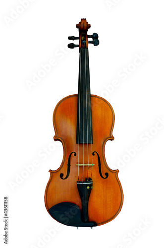 violin isolated