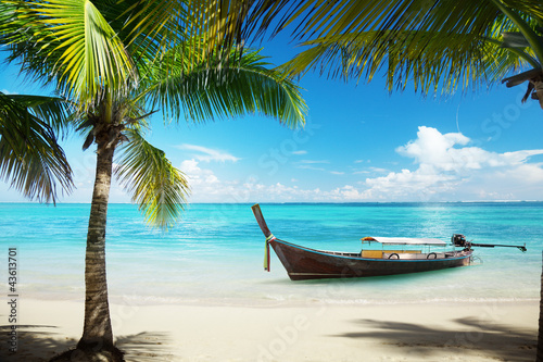 sea, coconut palms and boat