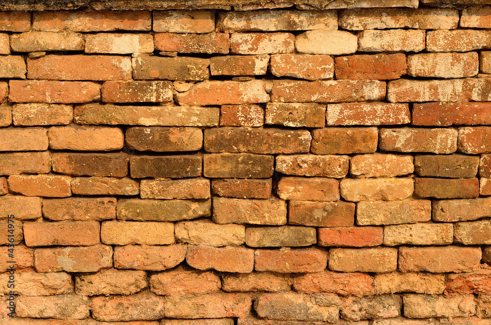 Fototapeta premium brick wall texture