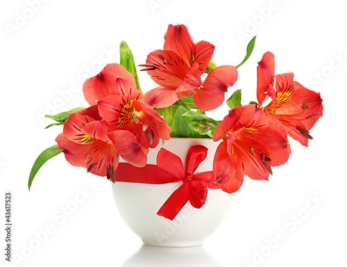 Fototapeta Naklejka Na Ścianę i Meble -  alstroemeria red flowers in vase isolated on white