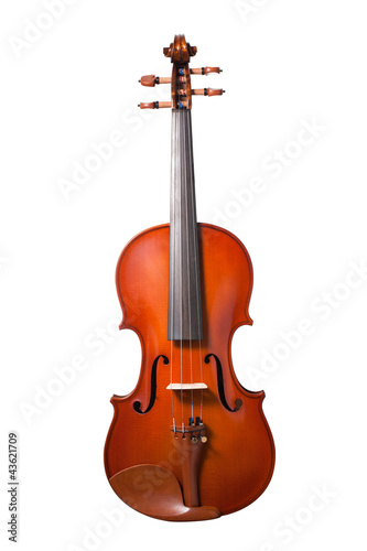 Violin isolated on white background with clipping path