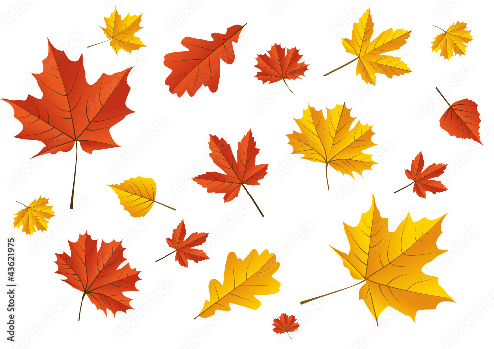 Obraz premium Herbstblätter