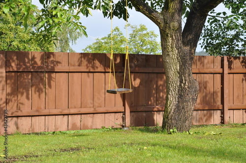 Swing on the tree in the garden photo