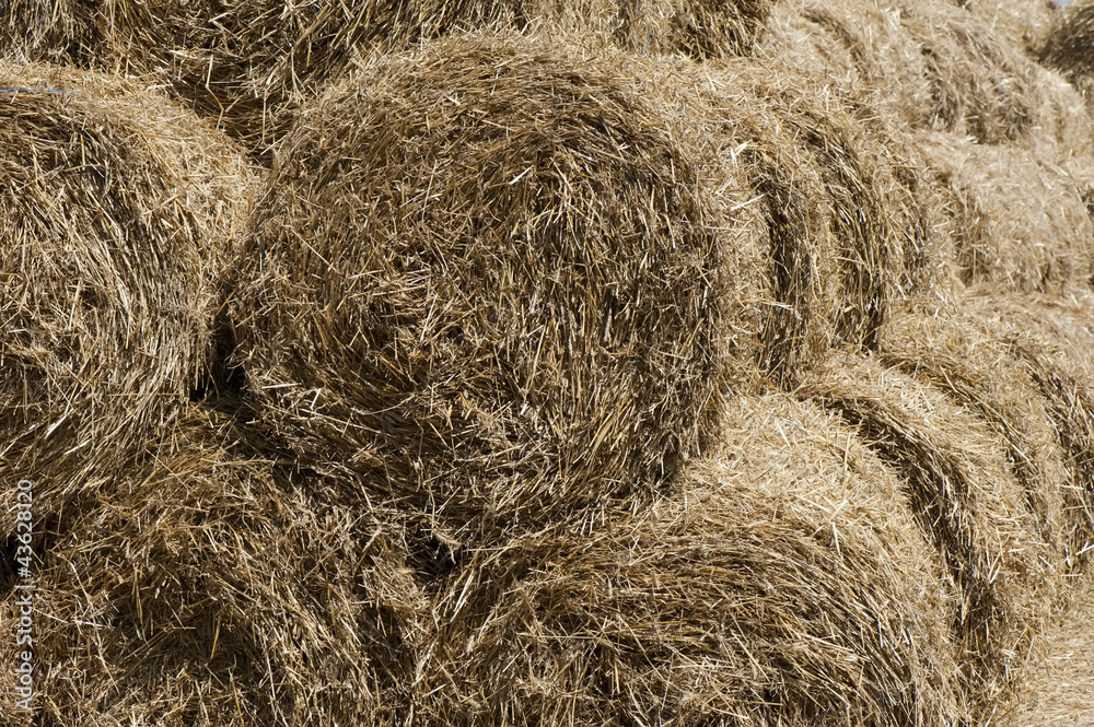 Background of straw Background of straw
