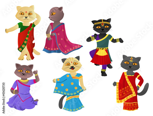 Cats in a sari