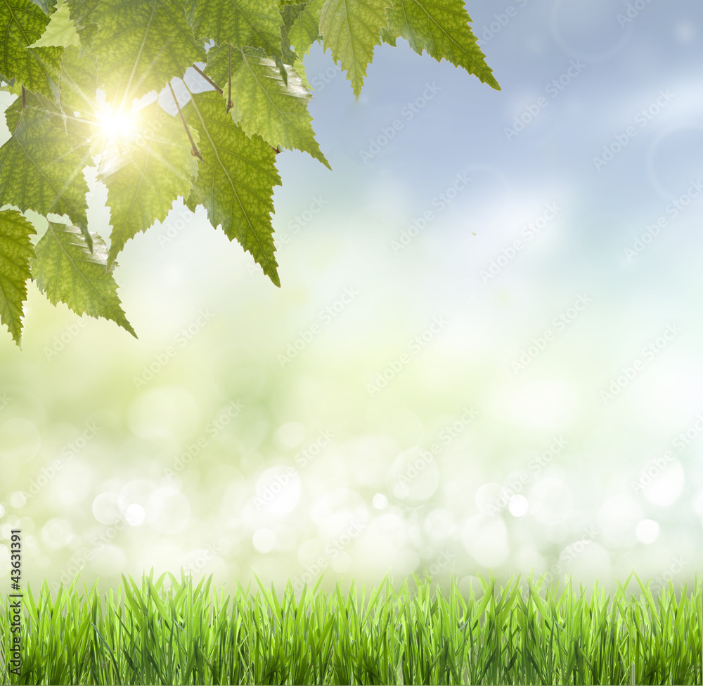 Obraz premium Spring or summer heat abstract