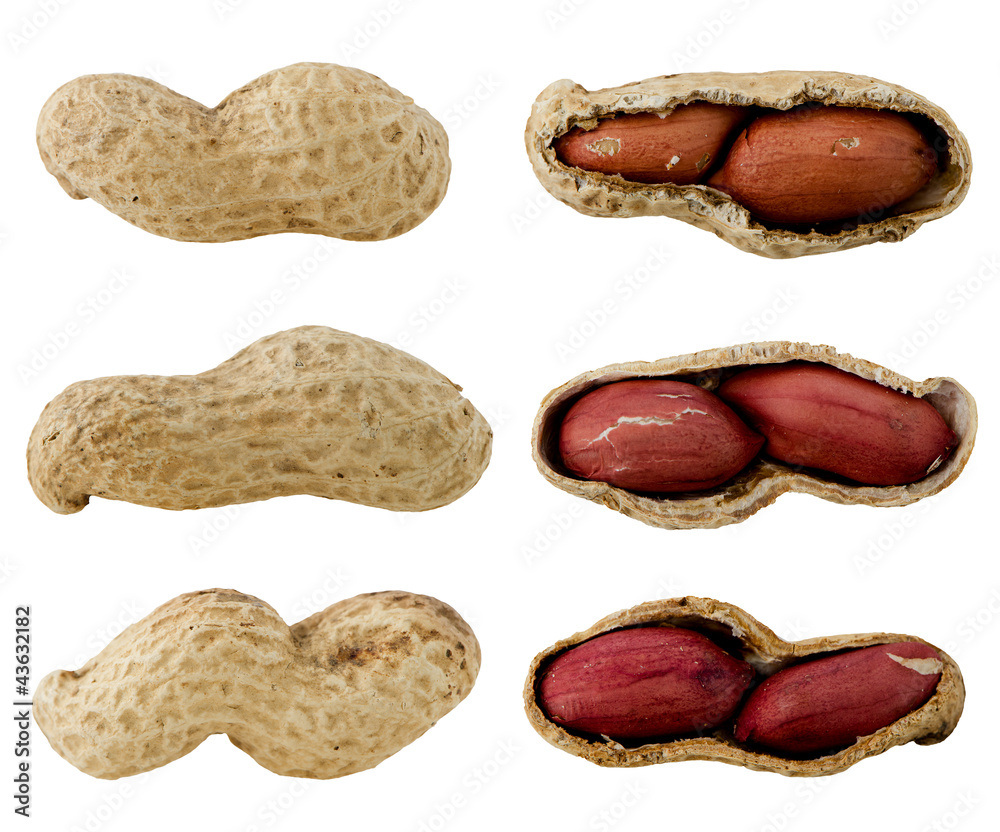 Peanuts Peanuts